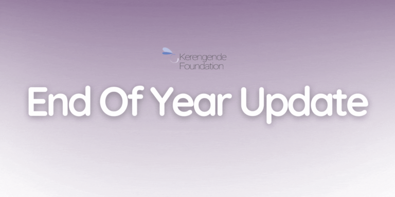 Newsletter: End of Year Update